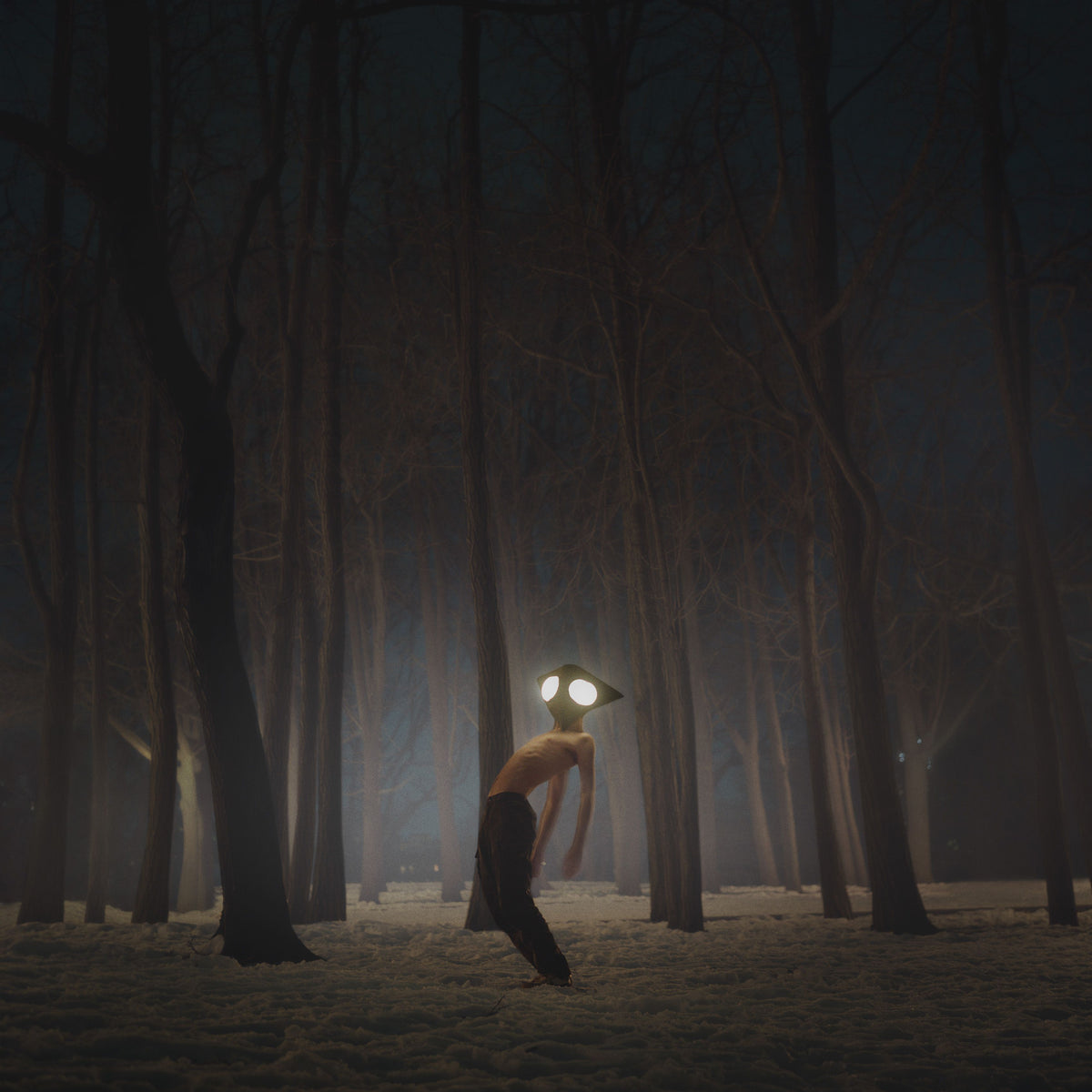 Geese · Projector
