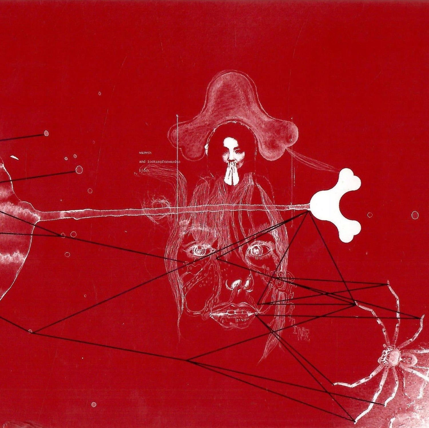 Björk · Surrounded (7-DualDisc Box Set)