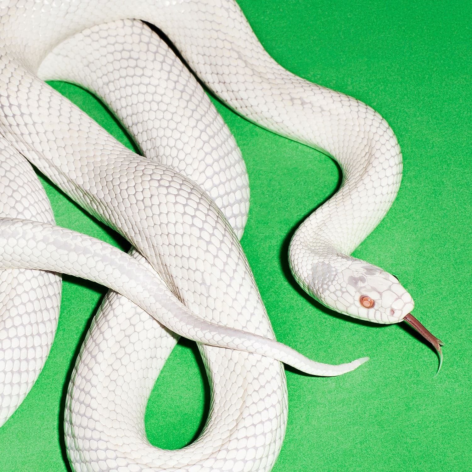 Deftones · Private Music