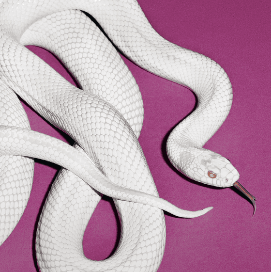 Deftones · Private Music (Alternate cover · Limited edition fog grey vinyl)